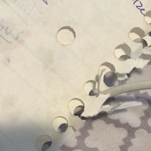 Meet your Posher, Annieoo